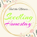 Seedling Homestay